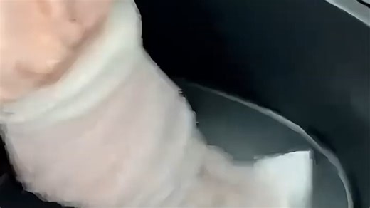 松下（Panasonic）多功能全景可视窗家用全自动无油免翻面空气炸5升大容量NF-HC500-N