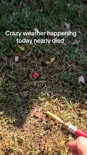 Near death experience standing out side in all that | Ever Eve