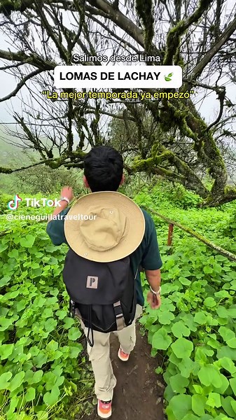 Explora Lomas de Lachay: Escapada Natural en Perú