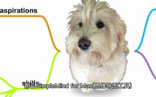 1_simplemind for Mac(思维导图工具) v1.25.0中文 码农家园