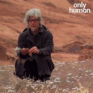 2.3M views · 871 reactions | Daniel hasn't earnt or spent any money in 14 years and prefers to live in caves. | Only Human | Facebook