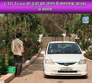 1.8K views · 23 reactions | CID Team का हुआ इस जंगल में खतरनाक जानवर से सामना | CID | सी.आई.डी | Full Episode 1220 #CID #सीआईडी #CID2024 #LatestTV #LatestFromTV #CrimeThrillers #CrimeMysteries #Mysteries #Horror #NewCID #Crime #NewCID #latestcid #cid #cidlatestepisode #cidnewepisode #hinditvserial #latestepisode #newepisode #tvserial #hindiserial #hindishow #tvshow | Pocket Film | Facebook