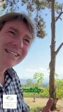 Your Insecurities Aren’t a Problem — They’re the Way Back to Yourself