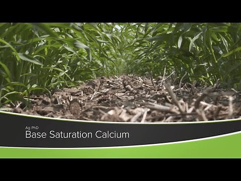 Base Saturation Calcium (From Ag PhD Show #1174 - Air Date 10-4-20)