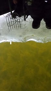 1.7M views · 10K reactions | Stopped by an officer while spearfishing  Did we do anything wrong? 路‍♂️ #icefishing #spearfishing #minnesota | UnReel Minnesota | Facebook