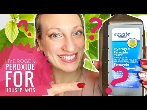 Hydrogen Peroxide - Medicine For Houseplants