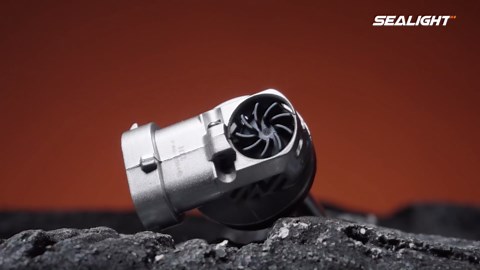 Intimate Bleaching Cream for Women - Skin Lightening Cream for Intimate Areas, Underarms, Bikini, and Sensitive Skin - Natural, Gentle Formula for Even Tone - 2 oz