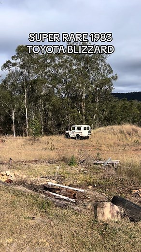 Unearthing a Super Rare 1983 Toyota Blizzard