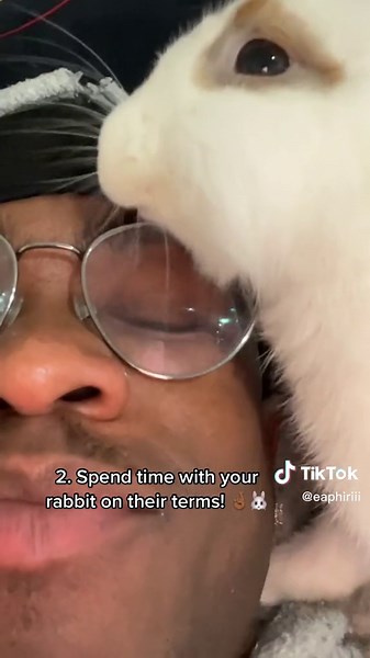 Mr Phiri Bunny Care Guide: Tips for New Rabbit Owners