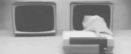 FuncoLand History: The Company Behind Used Video Games