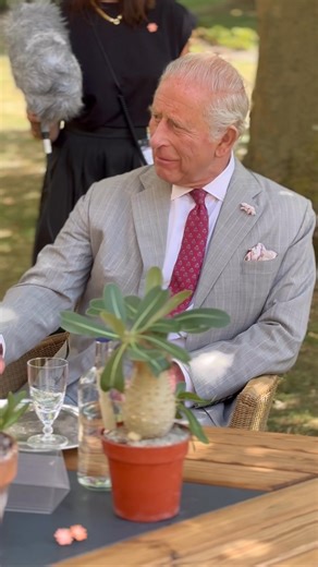 From seed to story 🌱 To celebrate the 25th anniversary of the Millennium Seed Bank at Kew Gardens, The King has recorded a special podcast episode with Cate Blanchett, Ambassador for Wakehurst and Dr Elinor Breman, Senior Research Leader. The Millennium Seed Bank, created by Kew, is the world’s largest underground seed bank and conservation resource for diverse wild plant species. Created in 2000, it is now home to over 2.5 billion seeds ensuring they are safeguarded against extinction. His Maj