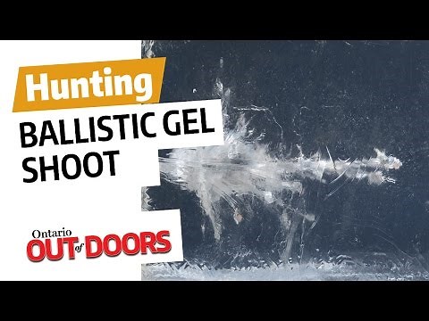 Ballistic Gel Shoot