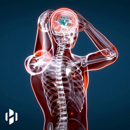 945K views · 12 reactions | Repetitive negative thinking is not good for your brain #neuroscience #psychology #brainhealth #biology #dementia #alzheimers | Hashem Al-Ghaili | Facebook