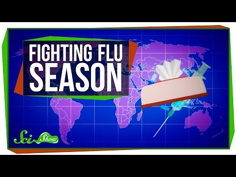 The Best Way to Fight the Flu
