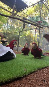 180K views · 26K reactions | Very first introduction to being...