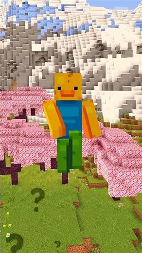 what is most illegal block in minecraft #mincraft #mincraftshort