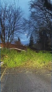 Landslide shuts down Tacoma road