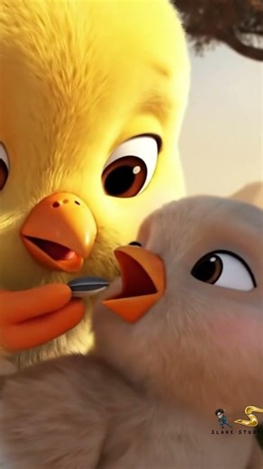 A Miracle Happened for This Little Bird 🐤✨