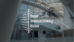 29 reactions | A Magyar Természettudományi Múzeum látnivalóit új érdekességgel szeretnénk bővíteni: célunk egy interaktív élőállat-bemutató intézményünk Ludovika téri épületében! Kérjük, adója 1 %-val támogassa 2022-ben a Magyar Természettudományi Múzeumot! Az adományokat új kisállatkertünk létrehozására fordítjuk. Köszönjük támogatását! Adószámunk: 19674502-1-42 | Magyar Természettudományi Múzeum | Facebook