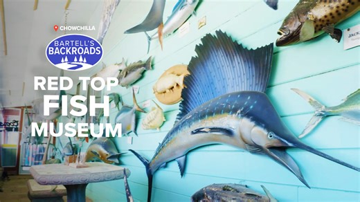 Roadside gem: Spicy jerky and mounted fish lure travelers to Red Top Market | Bartell's Backroads