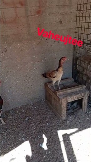 ٢١ سبتمبر ٢٠٢٦