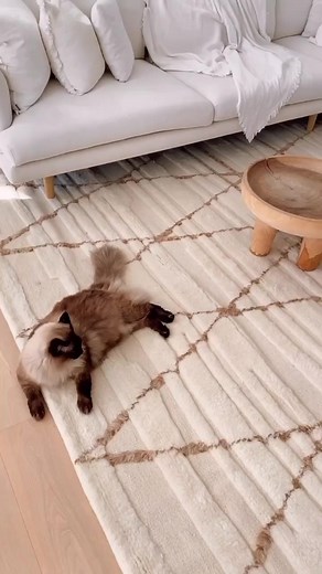 Meet our Leona wool rug! ✨ Her plush high-low pile and 100% wool fibres will add both warmth and texture to your space. Shop this beauty today! 📸 styled by @the_coastalbarndream Available on our AU NZ and HK online stores. | Miss Amara