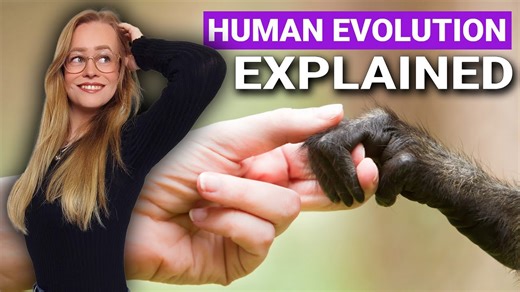 Human Evolutionary Timeline Explained