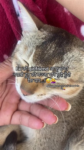 Finding Humor in Exes: A Lighthearted Take