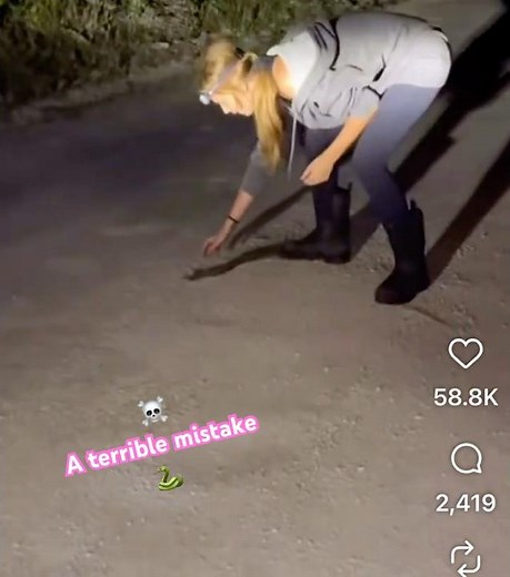 A First Time Python Hunter makes a terrible mistake ☠️