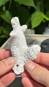 17K views · 1K reactions | What’s inside this Ancient Coral Finger? 視✨ #coral #rocks #minerals #agate #crystals #quartz #fossils | CoralGeodes | Facebook