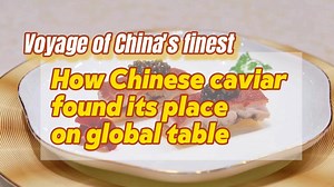 Raised for 20 years, harvested with care -- Chinese caviar is making its mark on the global gourmet scene. From farm to fine dining, follow us to discover how a local product earned its seat at the world's table. | China Xinhua News