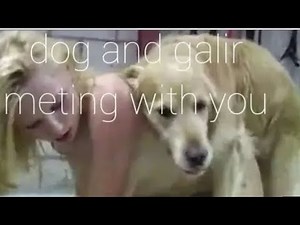 dogs girl meeting enjoyment room