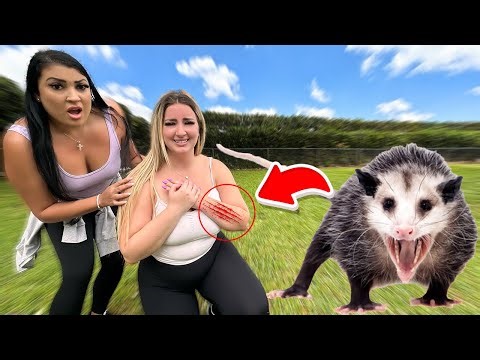 A Vicious POSSUM ATTACKED ME!!