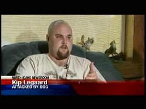 Pitbull attacks owner 24 hours after adoption