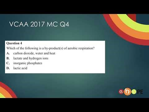 Energy Systems -Aerobic