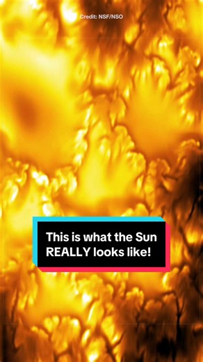 This is what the Sun REALLY looks like! #space #sun #astronomy #physics #astrokobi
