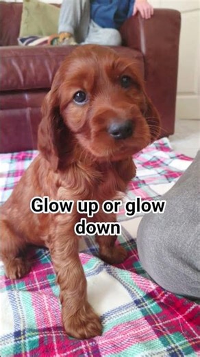 glow up or glow down #funny #butifyoucloseyoureyes