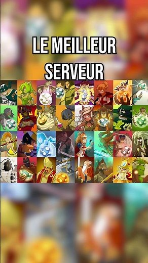 The best DOFUS SERVER?