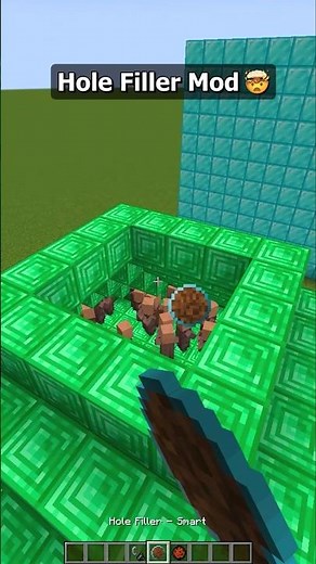Minecraft Hole Filler Mod🤯