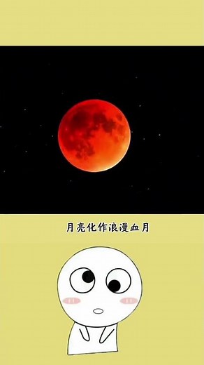 Discover the Year's Cosmic Wonders