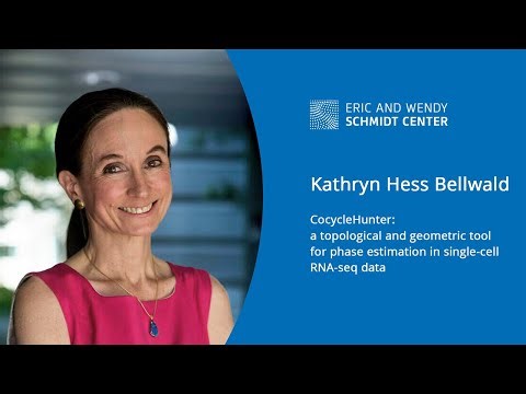 EWSC: CocycleHunter, Kathryn Hess Bellwald