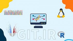 Bioinformatics Guide to Research Projects and Publications