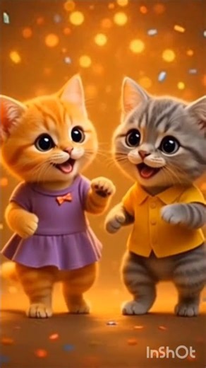 Ranu mumbai ki ranu#cat funny dance video#shorts #dance #cat #catdance #cutecat