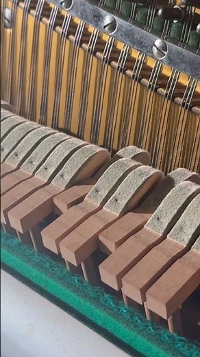 Coldplay - Clocks (what the piano sees 🤭)