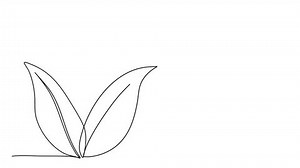 Plant One Line Drawing Animation Video Stock Footage Video (100% Royalty-free) 3715358731 | Shutterstock