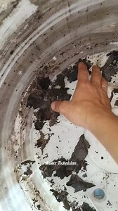 2.2K views · 13 reactions | Automatic washing machine general cleaning process! ✓ Cleaning ✓ Repair - For Inquiries, Message us. 0953 630 3890 | Master Technician Appliances repair and Air-conditioning service's | Facebook