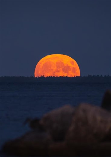 Never seen a supermoon? January 3 is the time to change that. 🌕 During this time, the moon can look up to 14 percent larger, but appears especially large near the horizon due to an optical trick known as the moon illusion. Join travel journalist Stephanie Vermillion in Wind Cave National Park as she explains how to best view this upcoming event. Learn more about the New Year supermoon and how to photograph it: https://on.natgeo.com/4q0w5HF | National Geographic Science