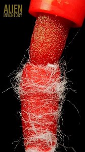 3.2M views · 36K reactions | macro compilation - needles #asmr #asmrsounds #macroart #macro #macrophotography #makrofotografia #closeup #closeupphotògraphy #raw_macro #kings_macro #macro_highlight #macro_royals #macroworld_tr #macro_vision #macro_captures #macro_holic #microworld | Alien Inventory | Facebook