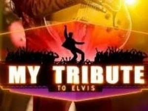 Bouke - My Tribute to Elvis Part 1