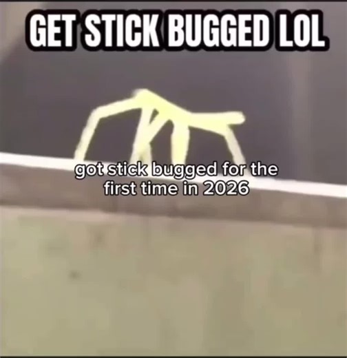 Get got. #viral #rickroll #stickbug#2026 #meme